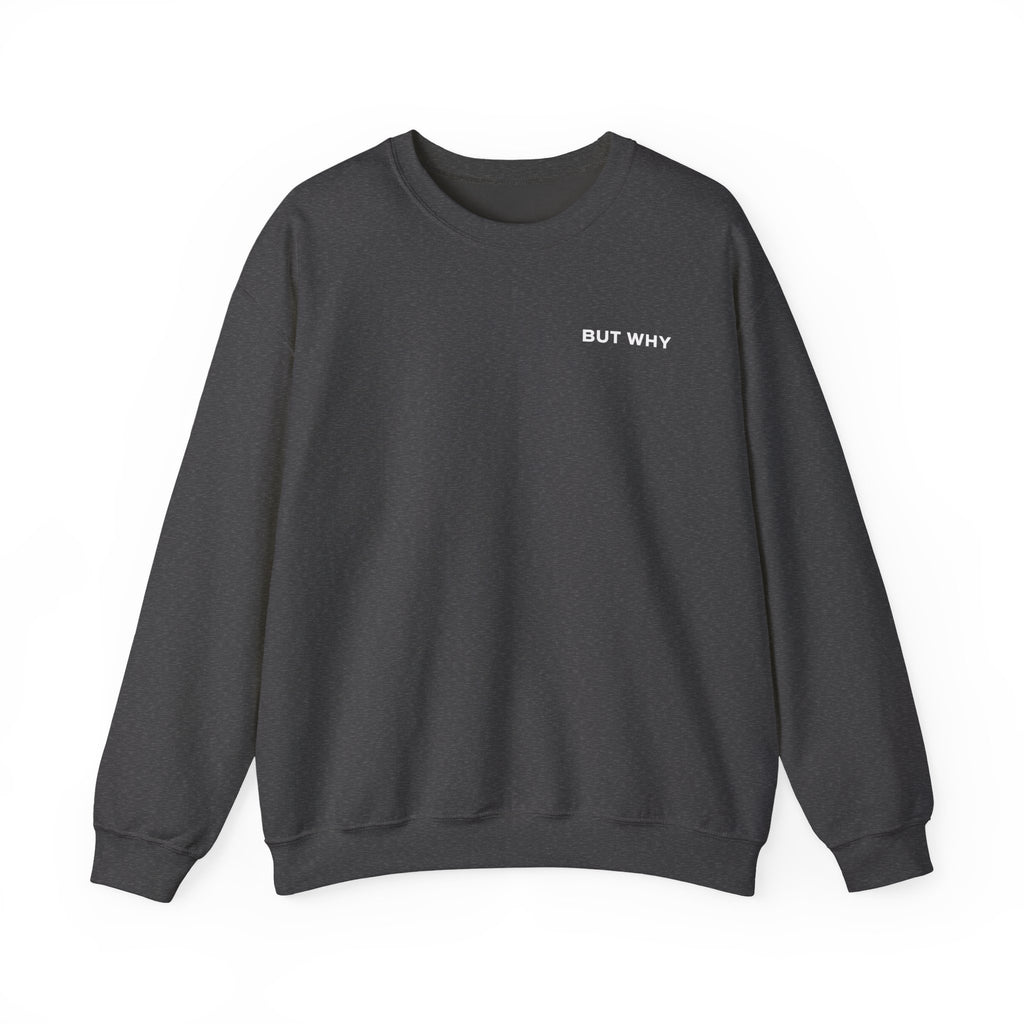 BUT WHY SWEATER | DROP 001