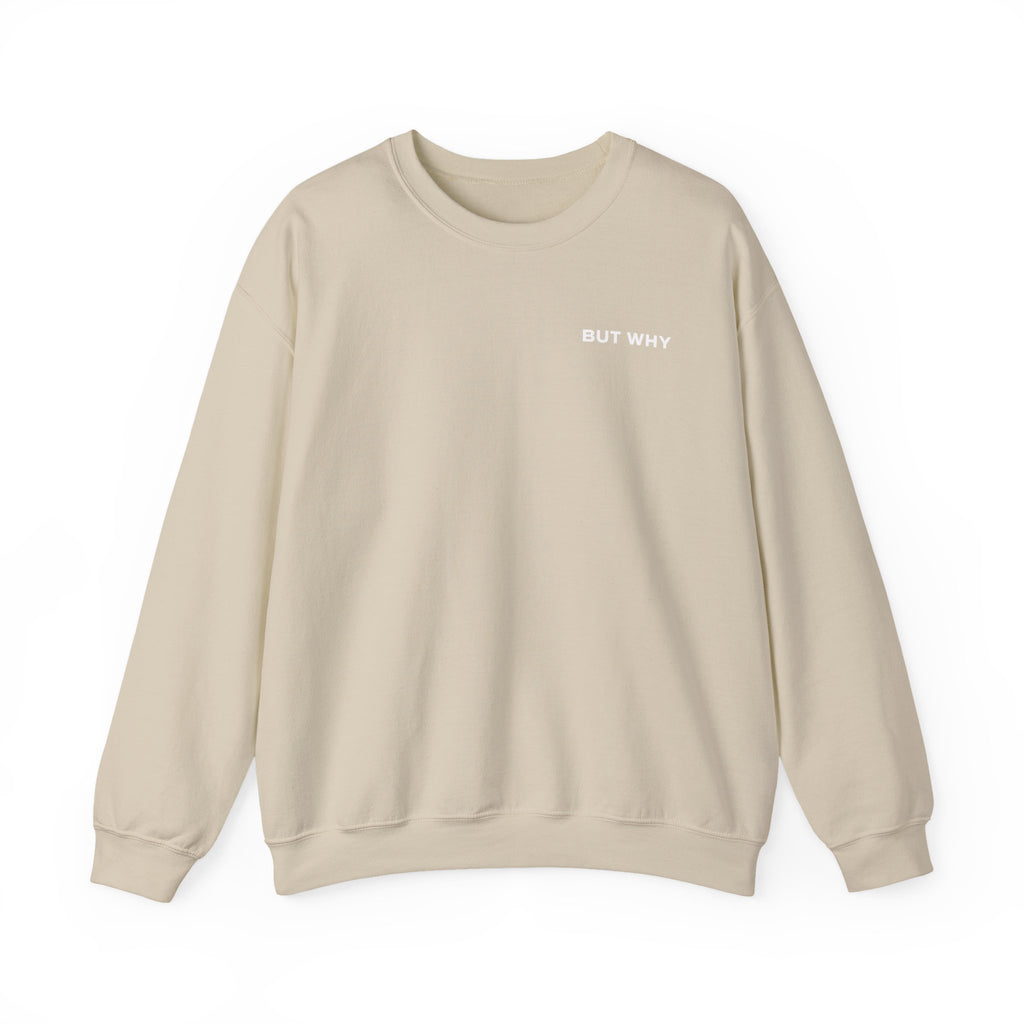 BUT WHY SWEATER | DROP 001