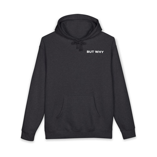 BUT WHY HOODIE | DROP 001